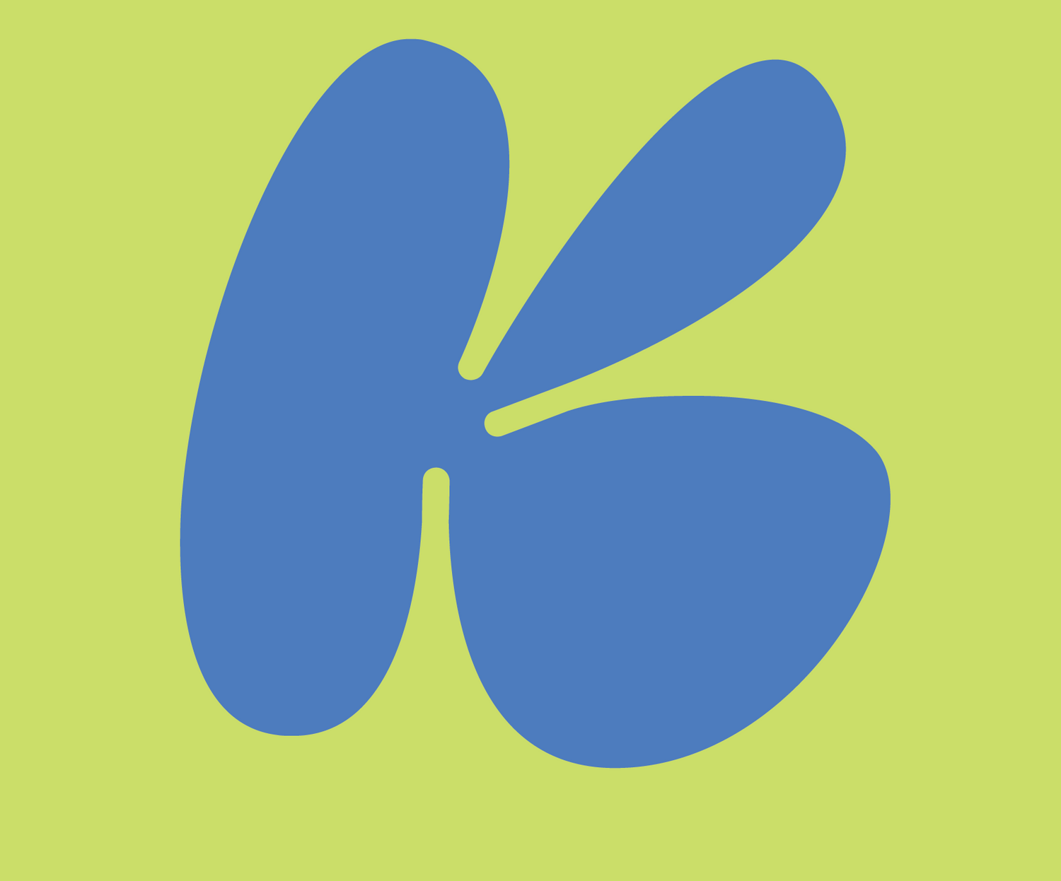 Light Roasts (Fruity, Tart, Floral Notes)